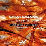 cover: Gallardo, Carlos|Tenna Torres - Rise Like A Phoenix (Unstoppable mix)