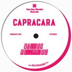 cover: Capracara - Fake Drukqs