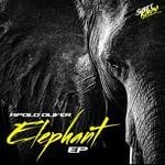 cover: Apolo Oliver - Elephant  EP