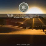 cover: Relief - Wonderful Feelings