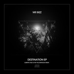 cover: Mr Bizz - Destination