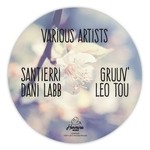 cover: Leonardo Tou|Dani Labb|Santierri|Gruuv - Deep Color Vol 2