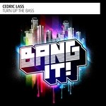 cover: Cedric Lass - Turn Up The Bass