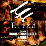 cover: Hayashi Banginger - Harder