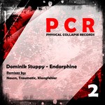 cover: Dominik Stuppy - Endorphine