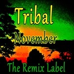 cover: Various - Tribal November