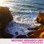 cover: Neoteric Research Unit - What Is Sound Anyway