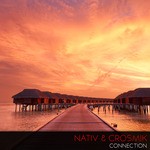 cover: Crosmik|Nativ - Connection