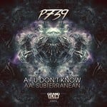 cover: P739 - U Don't Know