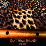 cover: Sonic Funk Foundry - Afro Dread