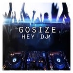 cover: Gosize - Hey DJ