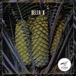 cover: Delta X - Some Hauz EP