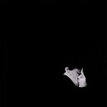 cover: Bob Moses - Tearing Me Up