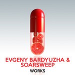 cover: Bardyuzha, Evgeny|Soarsweep - Evgeny Bardyuzha & Soarsweep Works