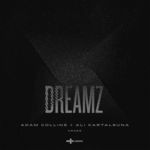 cover: Adam Collins - Dreamz