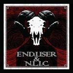 cover: End User|Nlic - The 9th Day