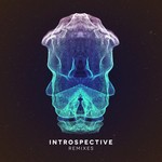 cover: The New Division - Introspective - Remixes