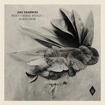 cover: Jake Chambers - Wont Change Myself/Black Swan