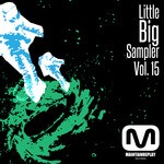 cover: Chris Zent|Juan Torrado|Marco Goncalvos|Montero, Carlos|Pablo Muzi3k - Little Big Sampler Vol 15