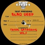 cover: Blaq Deep - Tribal Gathering Vol 1