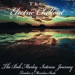 cover: The Electric Chillout Orchestra - The Bob Marley Intense Journey