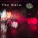 cover: Microwave Monkeys - The Rain