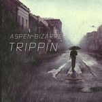 cover: Aspen Bizarre Disco - Trippin'