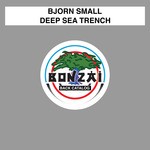 cover: Bjorn Small - Deep Sea Trench