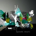 cover: Starkey - Ephemeral Exhibits