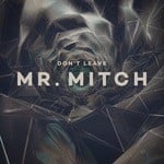 cover: Mr. Mitch - Don't Leave