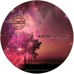 cover: Aaron Brooks - Jesus Too