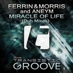 cover: Aneym|Ferrin & Morris - Miracle Of Life