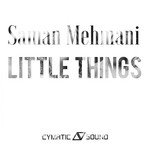 cover: Saman Mehmani - Little Things