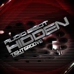 cover: Audio Bigot - Hidden