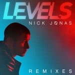 cover: Nick Jonas - Levels