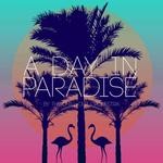 cover: The Chill Out Orchestra - A Day In Paradise