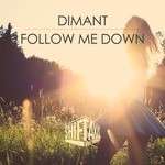 cover: Dimant - Follow Me Down