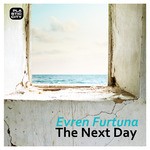 cover: Evren Furtuna - The Next Day