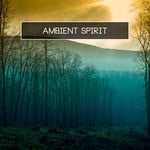 cover: Various - Ambient Spirit