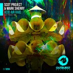 cover: Scot Project & Mark Sherry - Acid Air Raid