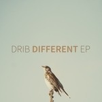 cover: Drib - Different EP