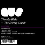 cover: Timothy Blake - The Stormy Search