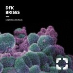 cover: Dfk - Brises