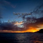 cover: Seneta - Baltic Amber