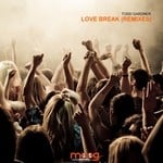 cover: Todd Gardner - Love Break