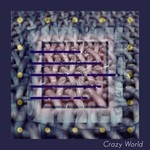 cover: Vandal M - Crazy World