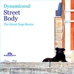 cover: Dynamicsoul - Street Body/The Street Dogs Remix