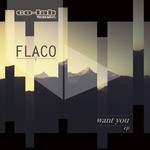 cover: Flaco - Want You EP