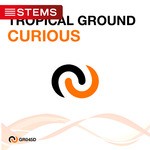 cover: Tropical Ground - Curious