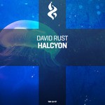 cover: David Rust - Halcyon